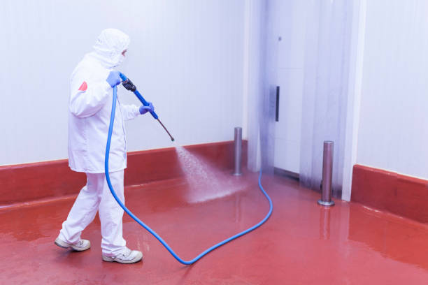 Best Oil Spill Cleanup  in Gas City, IN